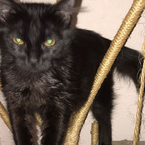 Meet your Posher, Bryce